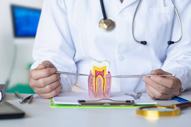Best Emergency Treatment for Oral Infections in Catasauqua, PA